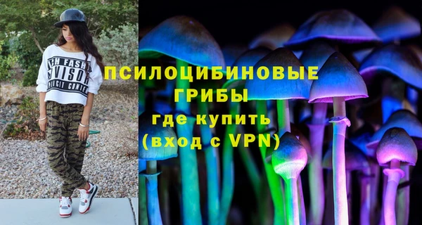гидропоника Аркадак