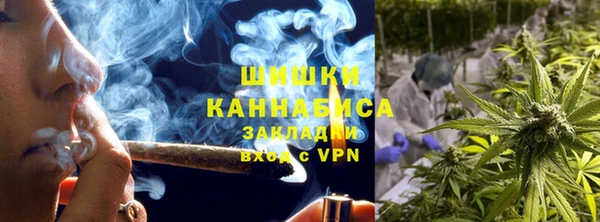 прущие крисы Арсеньев