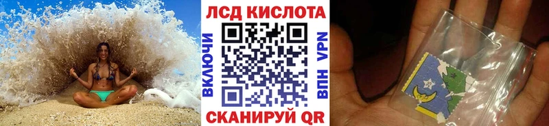 где можно купить наркотик  Судогда  Наркотические марки 1,8мг 