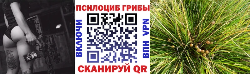 наркота Судогда blacksprut маркетплейс Псилоцибиновые грибы ЛСД
